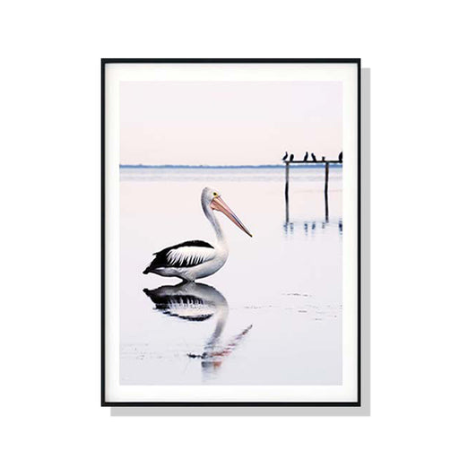 My Best Buy - 50cmx70cm Pelican Black Frame Canvas Wall Art