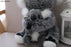 My Best Buy -Bring joy and cuddle comfort into the home with this ultra-soft simulation koala plush toy