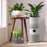 My Best Buy - MyGenie Tower Air Purifier with Planter 2-in-1 WI-FI App Control HEPA