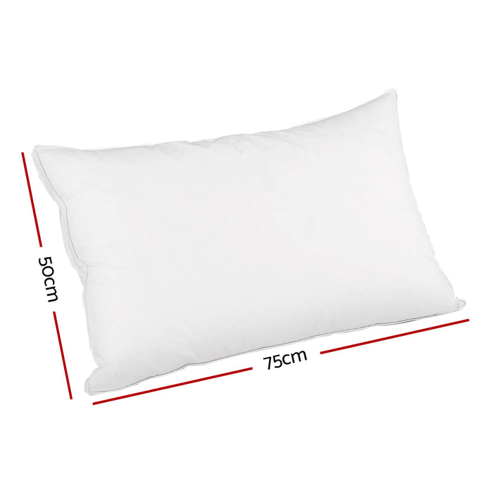 My Best Buy - Giselle Bedding Goose Feather Down Pillow - Buy 1 Get 1 Free