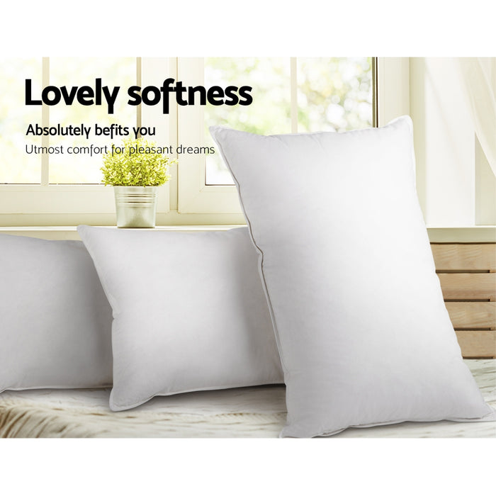 My Best Buy - Giselle Bedding Goose Feather and Down Pillow - White - Buy 1 Get 1 Free