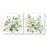 My Best Buy - 50cmx50cm Sage Garden By Carol Robinson 2 Sets White Frame Canvas Wall Art