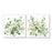 My Best Buy - 70cmx70cm Sage Garden By Carol Robinson 2 Sets White Frame Canvas Wall Art