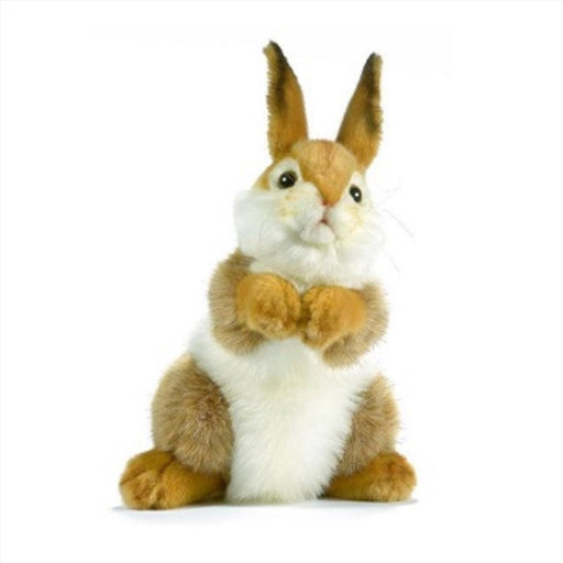 My Best Buy - Snuggle up with this soft, adorable plush bunny!